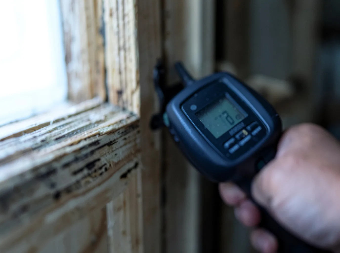 Moisture Inspection And Documentation in Grapevine, TX